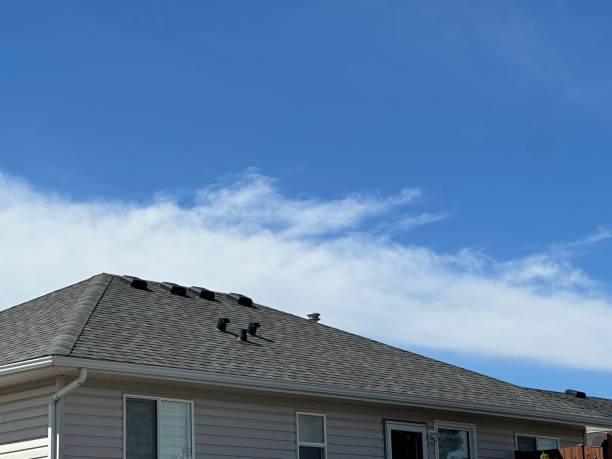 Best Roof Coating and Sealing  in Waterville, OH